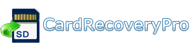 Card Data Recovery